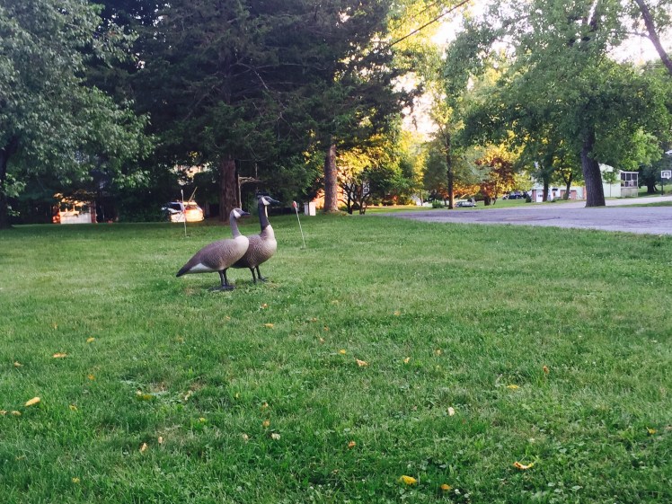 FullSizeRender (12).jpg