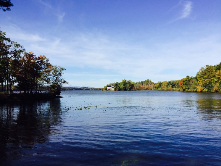 FullSizeRender (44).jpg