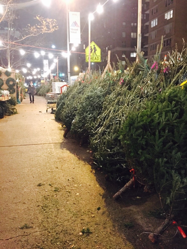 FullSizeRender (84).jpg