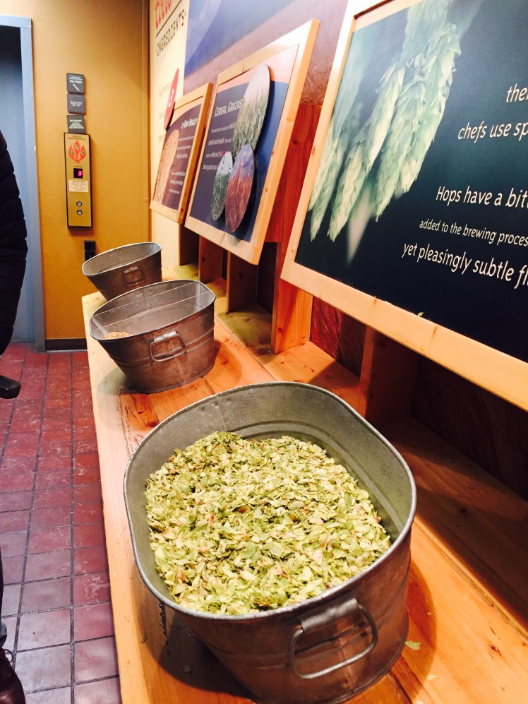 FullSizeRender (89).jpg