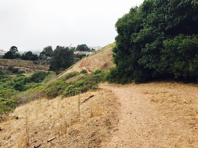 image_123986672 (1).JPG