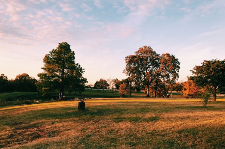 837719B5-9633-459D-B84E-9AC328C52B3E (1).jpg