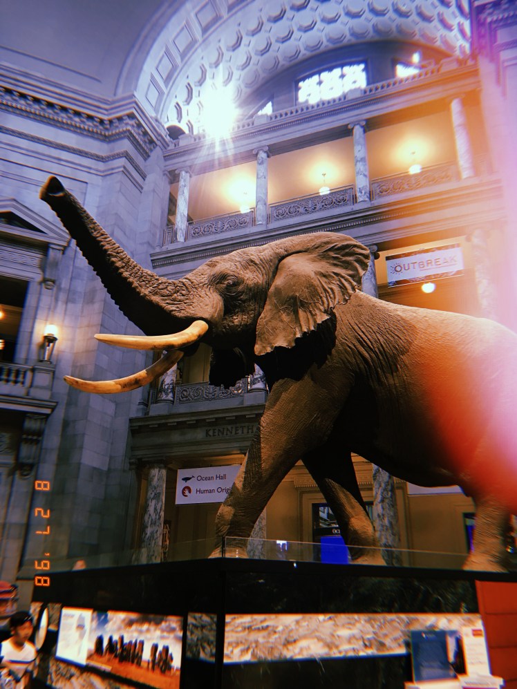 2019-08-27 11:08:40.541