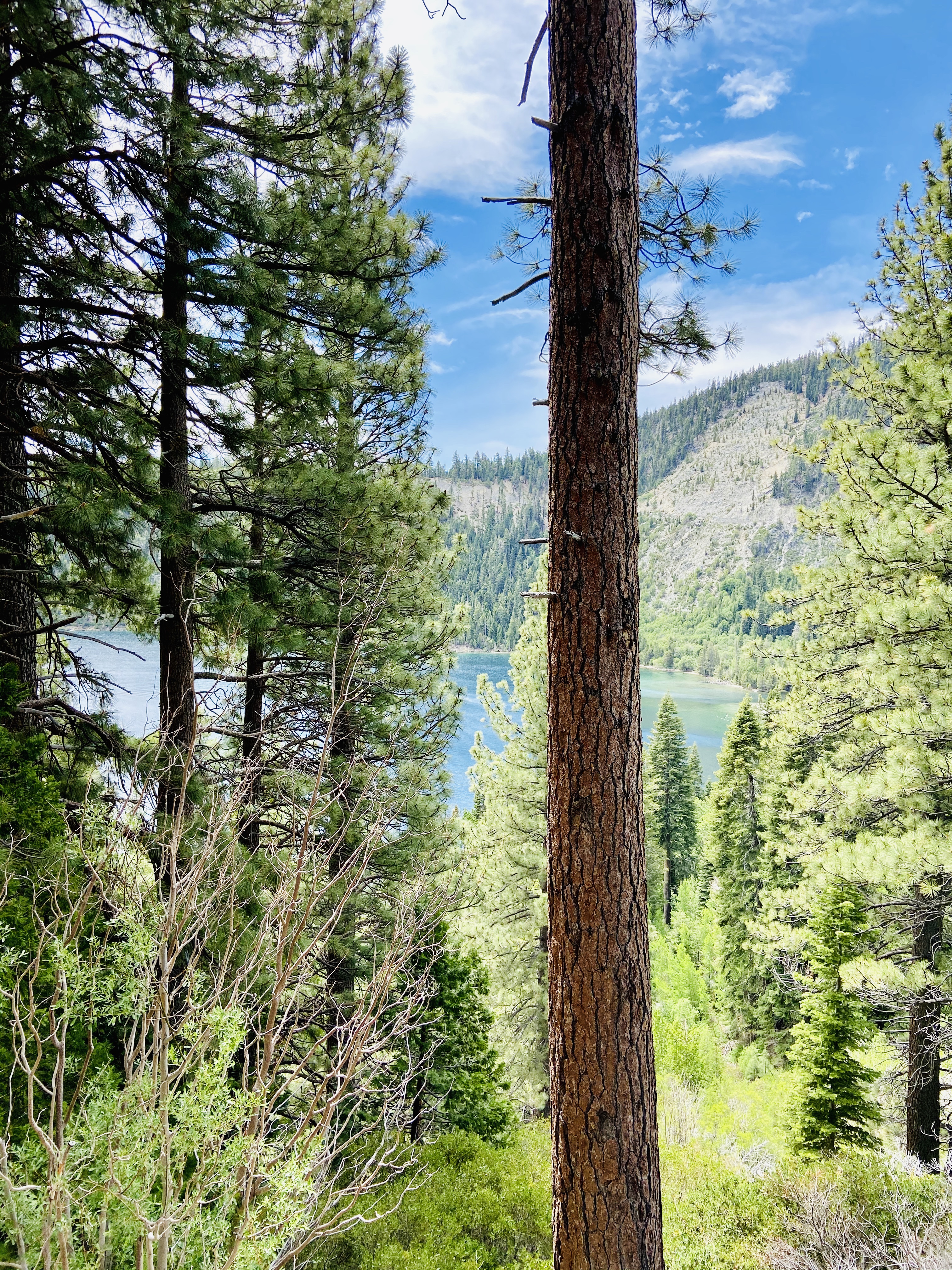 views of Emerald Bay
