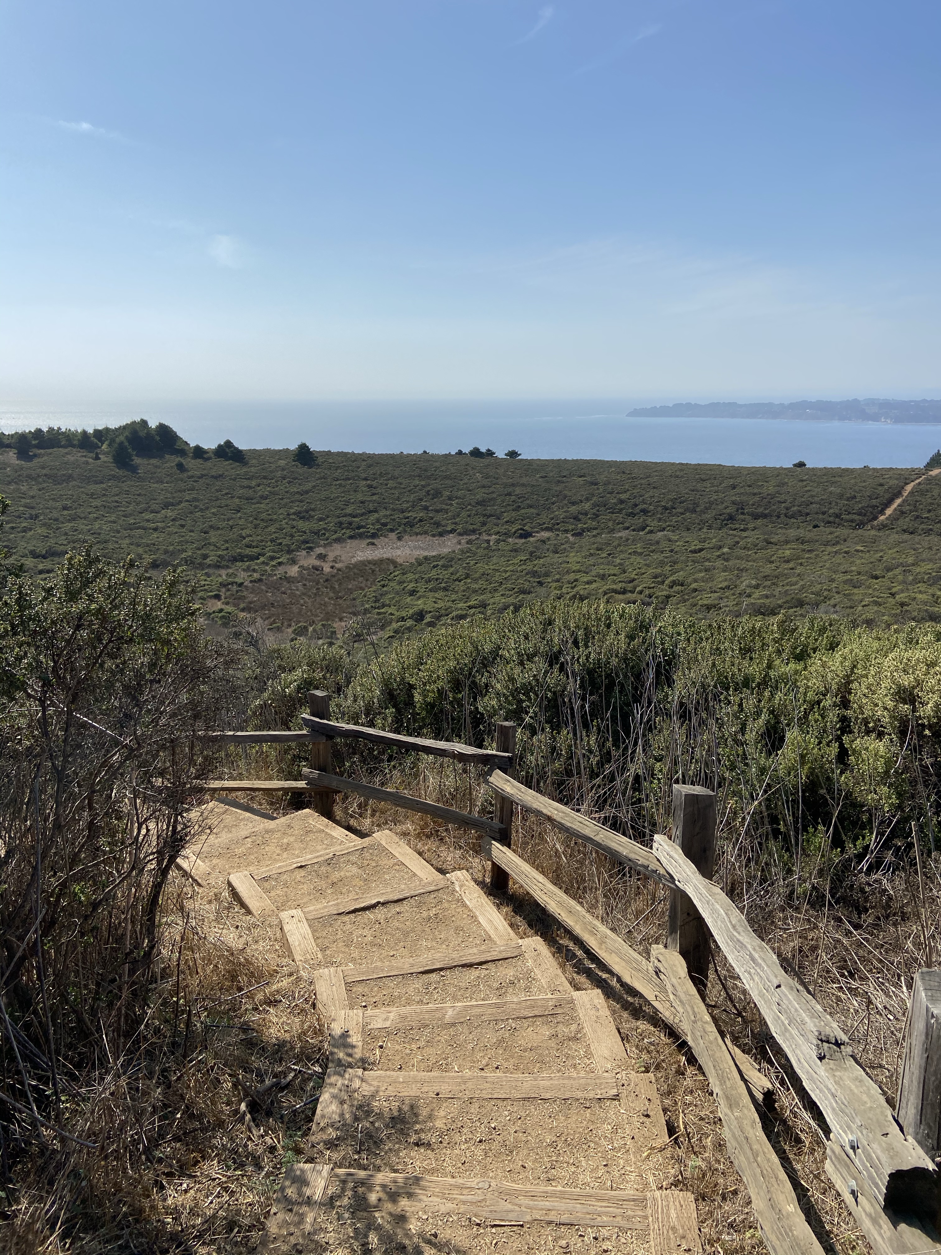 Mount Tamalpais hike