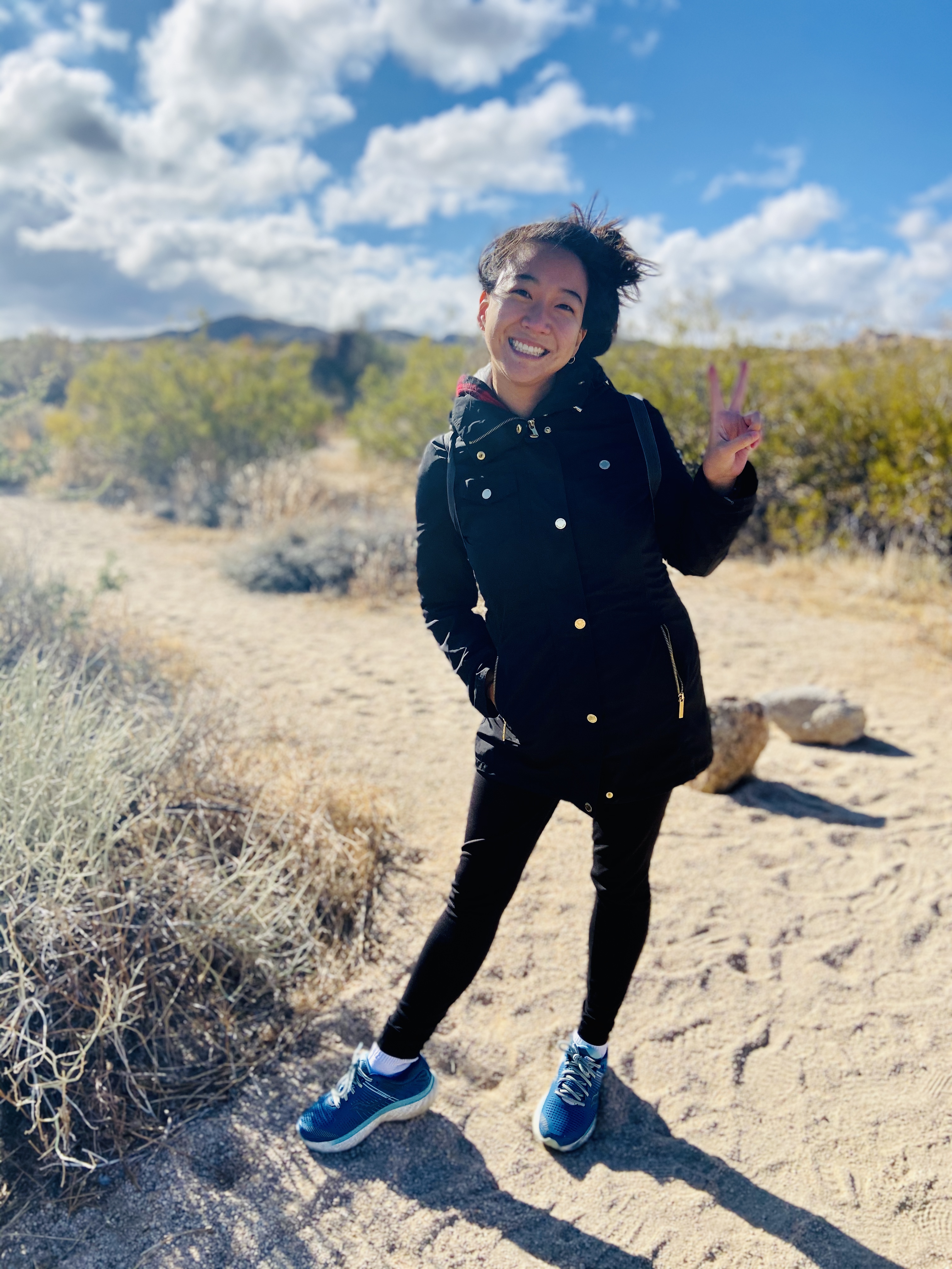 winter at Joshua Tree