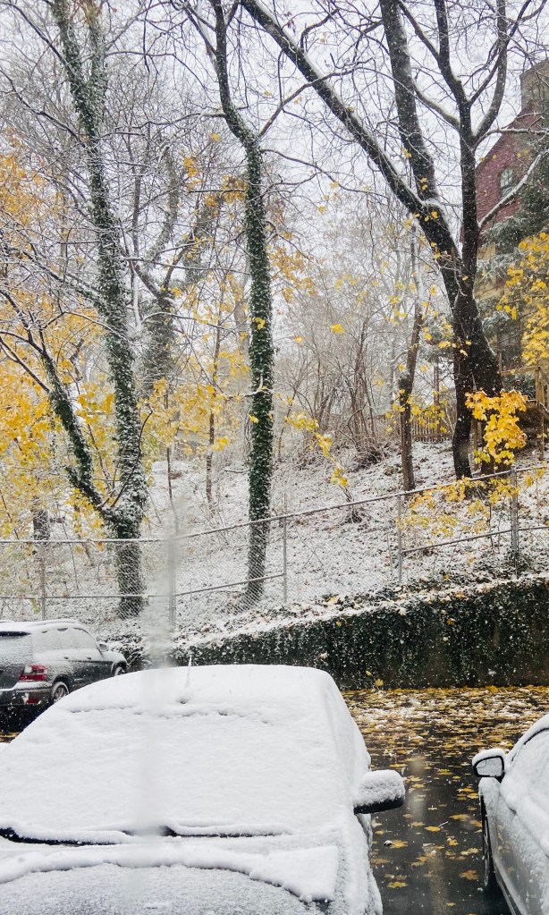 first snow of the season