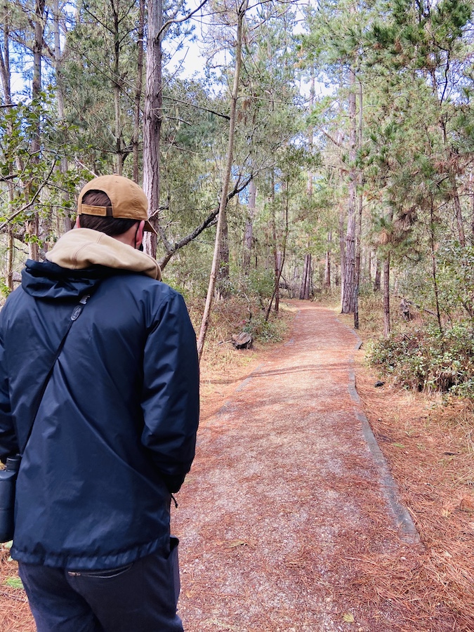 Hiking Point Lobos trails
