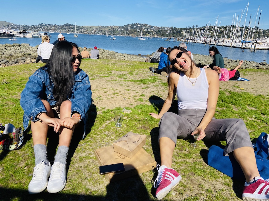 Goofy friends having picnic brunch