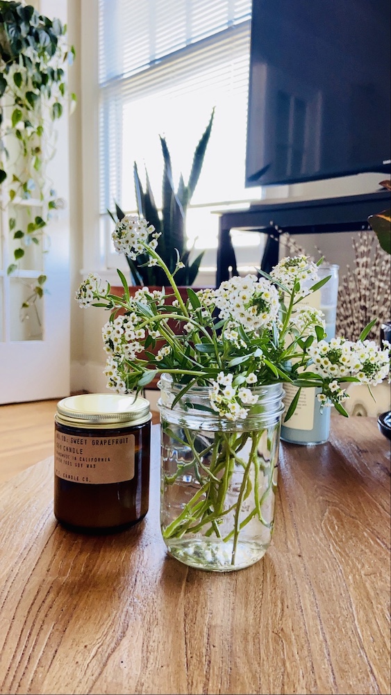 Fresh cut alyssum in mason jar