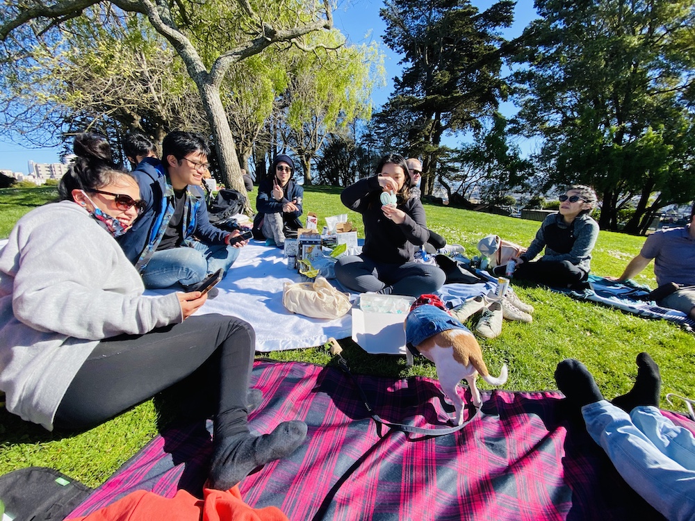 Outdoor picnic with friends at Alta Vista
