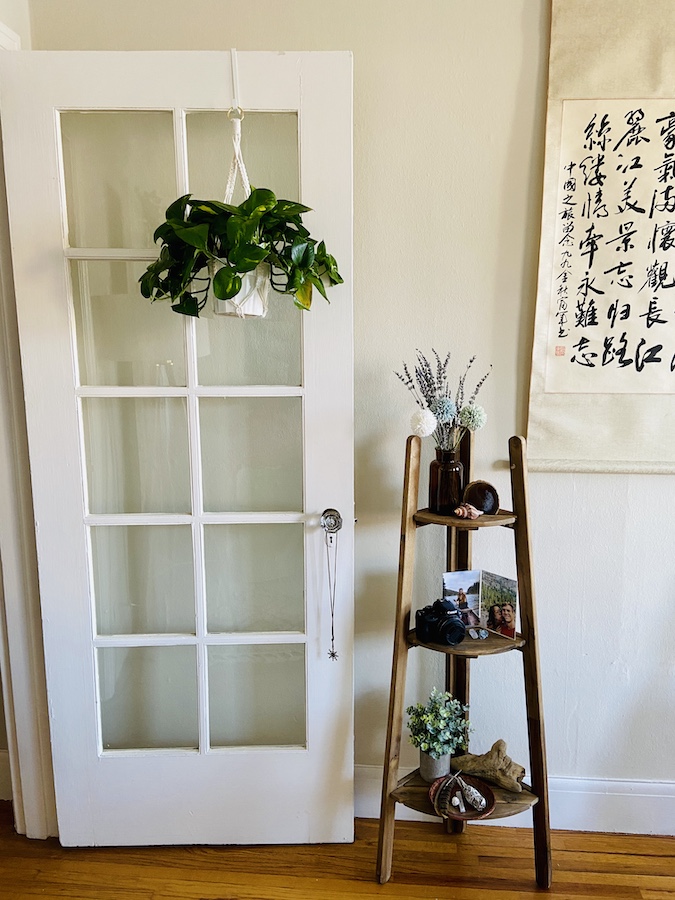 Hanging pothos plant on door