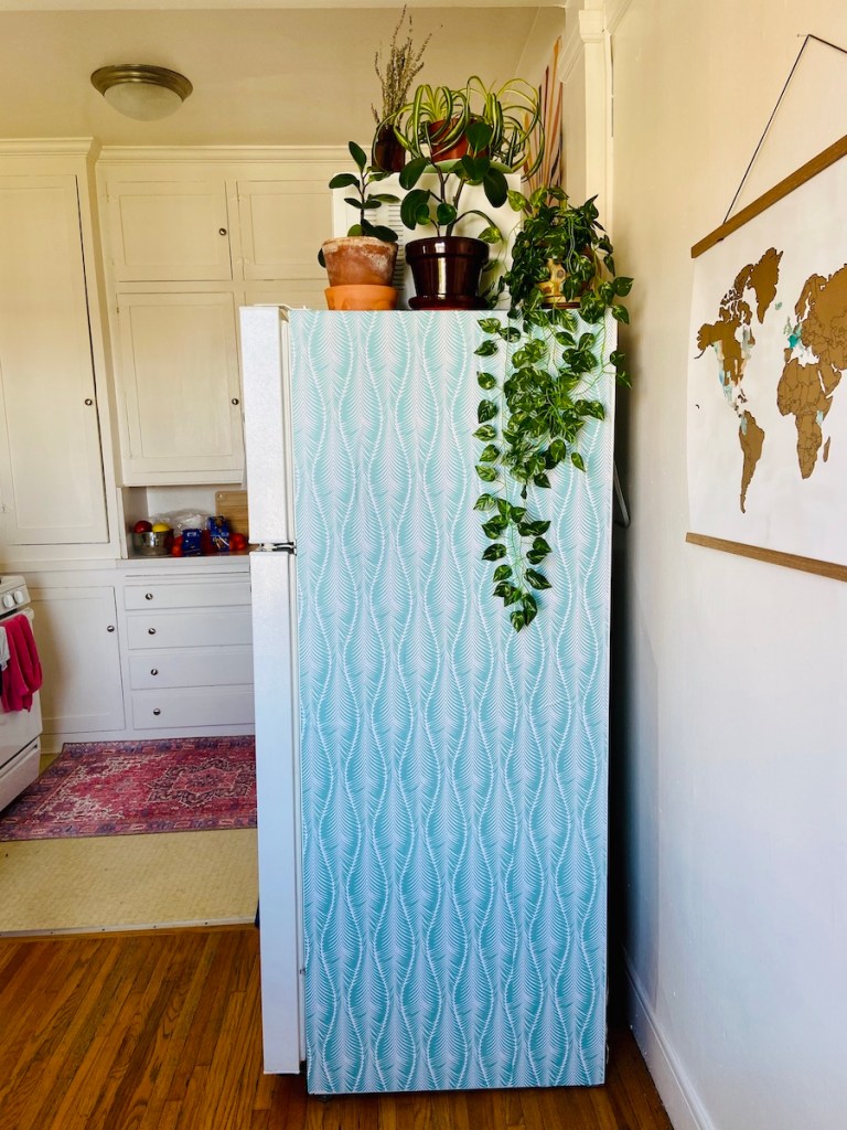 Colorful contact paper on fridge 