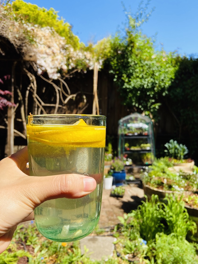 Fresh squeezed lemons in water 