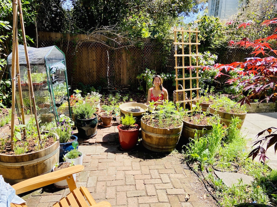 SF backyard garden with wine barrels