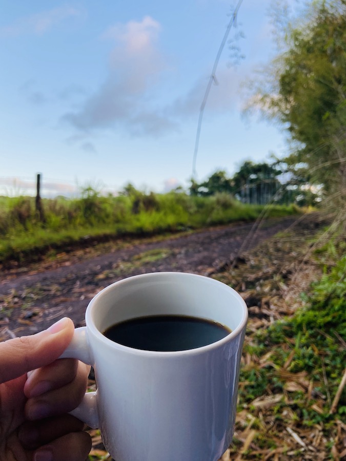 Morning coffee on remote farm