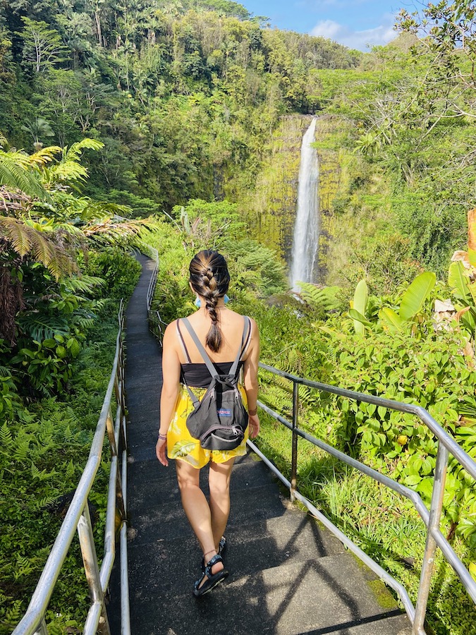 Akaka Waterfall State Park trail