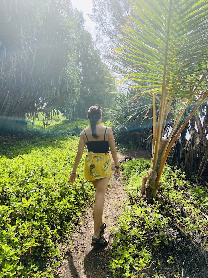 Hiking trail on Hamakua Coast