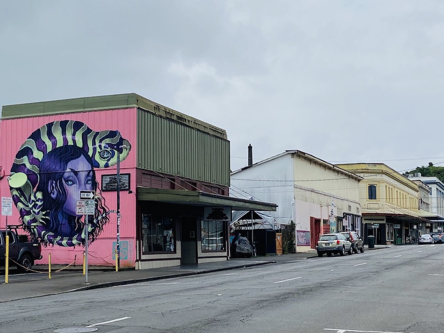 Downtown Hilo on cloudy day
