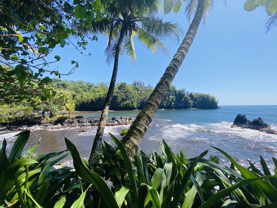 coast along Hawaii Botanical Garden