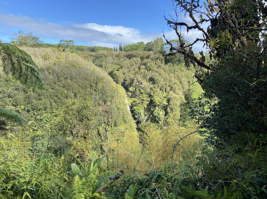 Views on Akaka Waterfall State Park