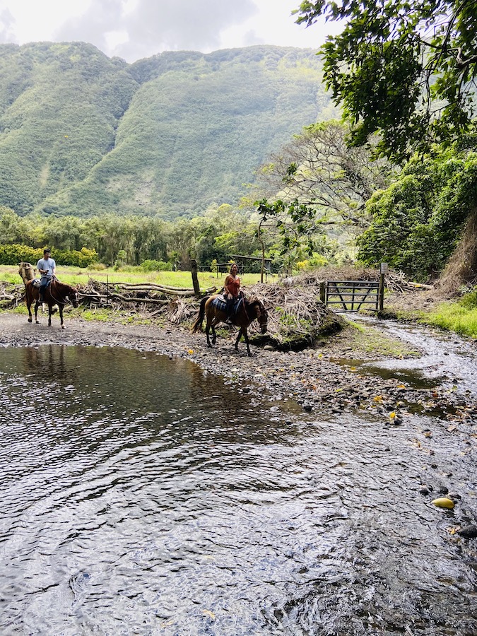 River crossing with horses