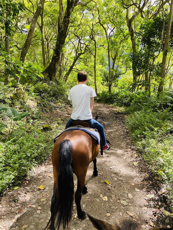 Horse back riding in Waipi'o Valley 