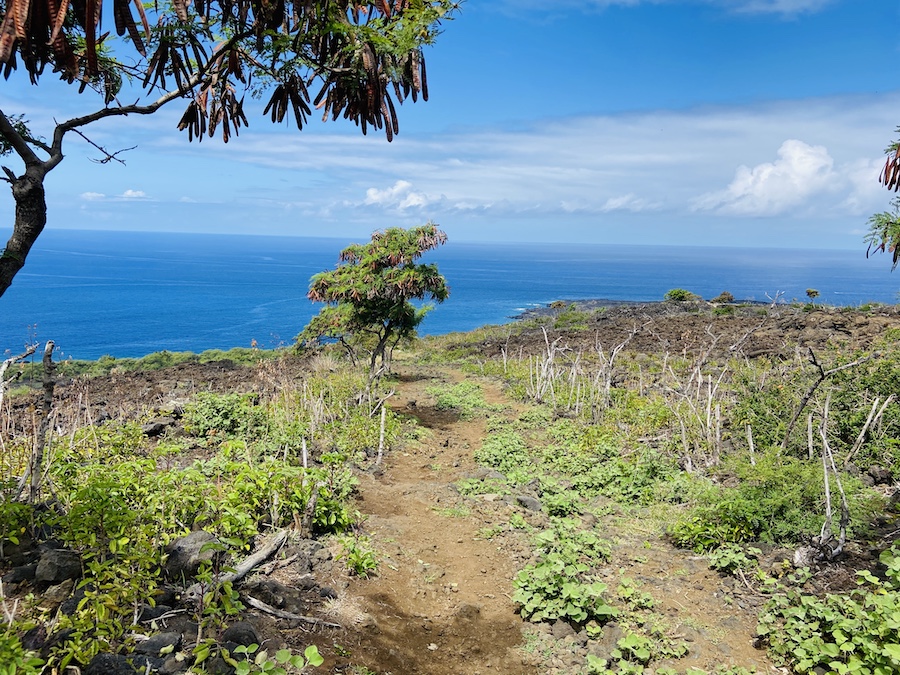 Captain Cook trail coastal views