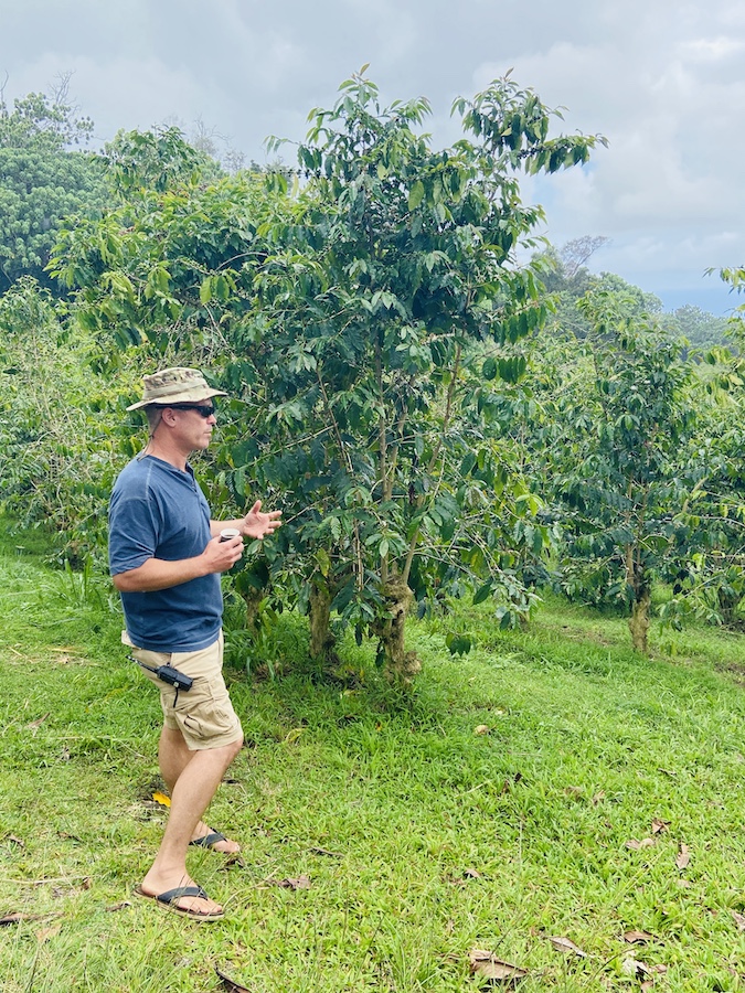 Tour on Hawaiian Kona Coffee Farm