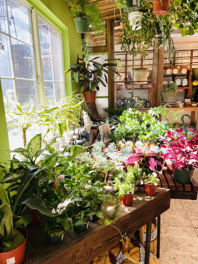 Plant store on Valencia St