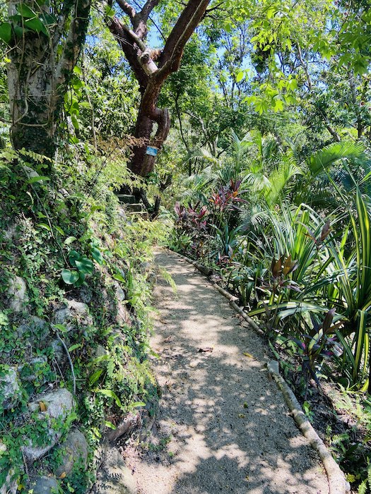 Garden pathway 