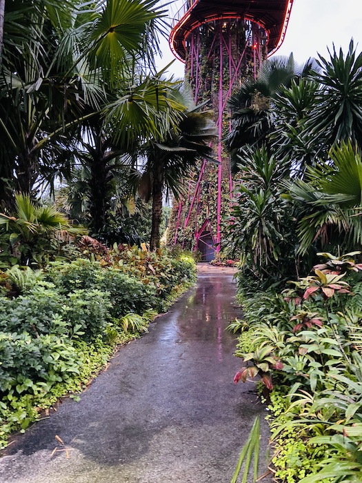 Gardens by the bay in the rain