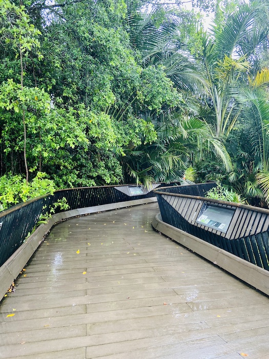 Singapore botanical garden