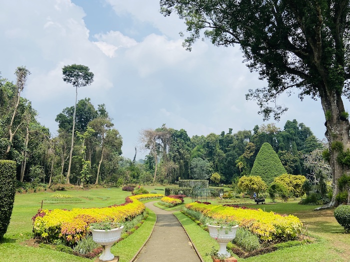 Kandy botanical garden