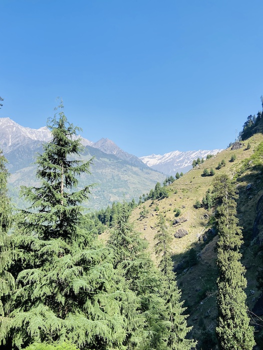 hike in Manali to Jogini Waterfall