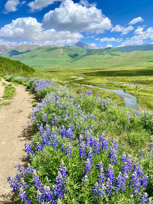 Brush creek trail Crested Butte, Colorado