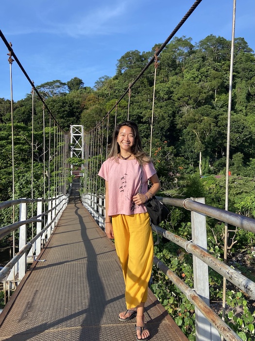 Bukit Lawang bridge