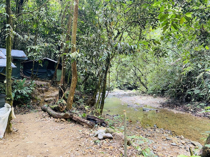 campsite in Bukit Lawang, Sumatra