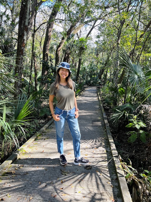 Enchanted Forest of Brevard Country