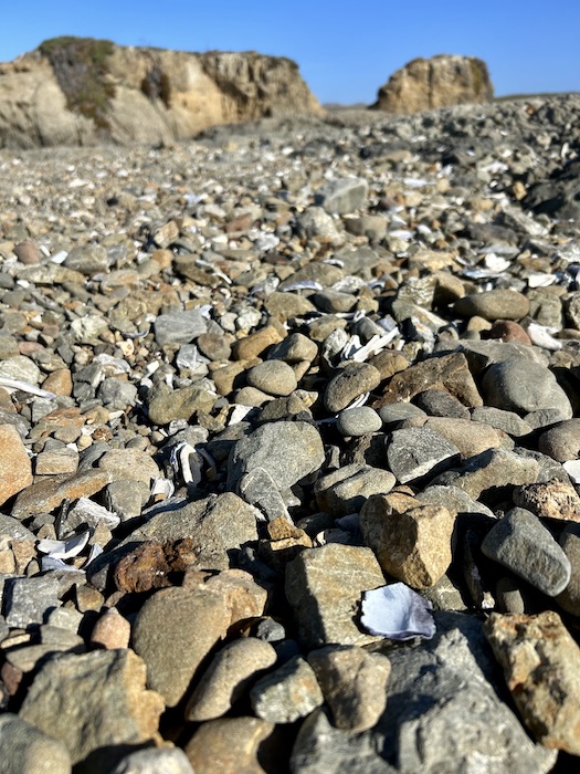 Glass Beach, Fort Bragg, CA